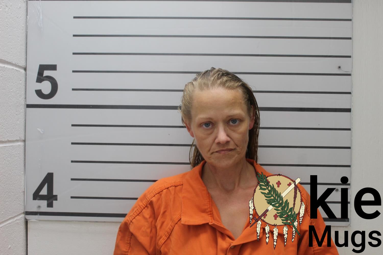 Booking photo of BOBBIE L. PETTIT