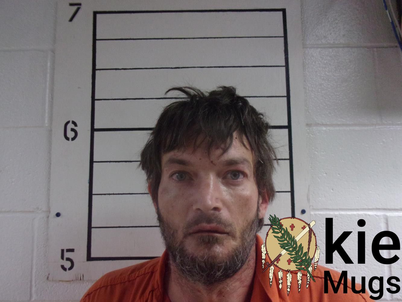 Booking photo of BRADLEY WELLS
