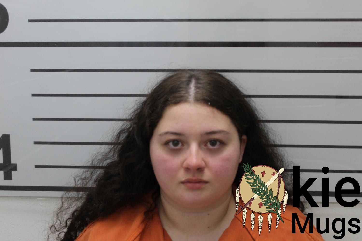 Booking photo of BRAEANNA ARIEL (CREEK) ALNETT