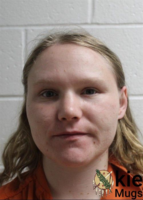 Booking photo of BRANDI LYNN INGLE