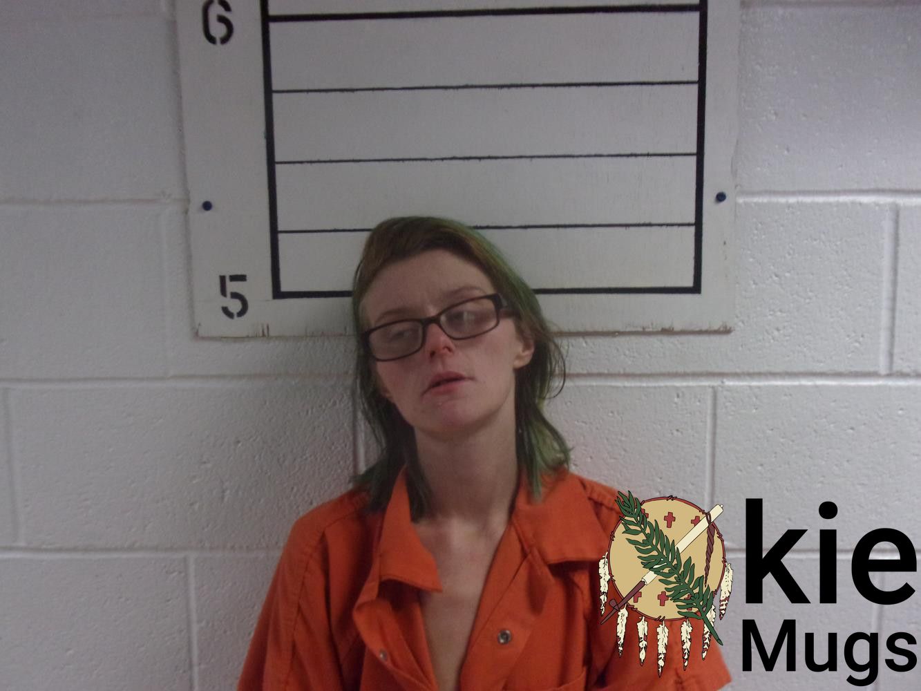 Booking photo of BRANDI NICOLE QUILLEN