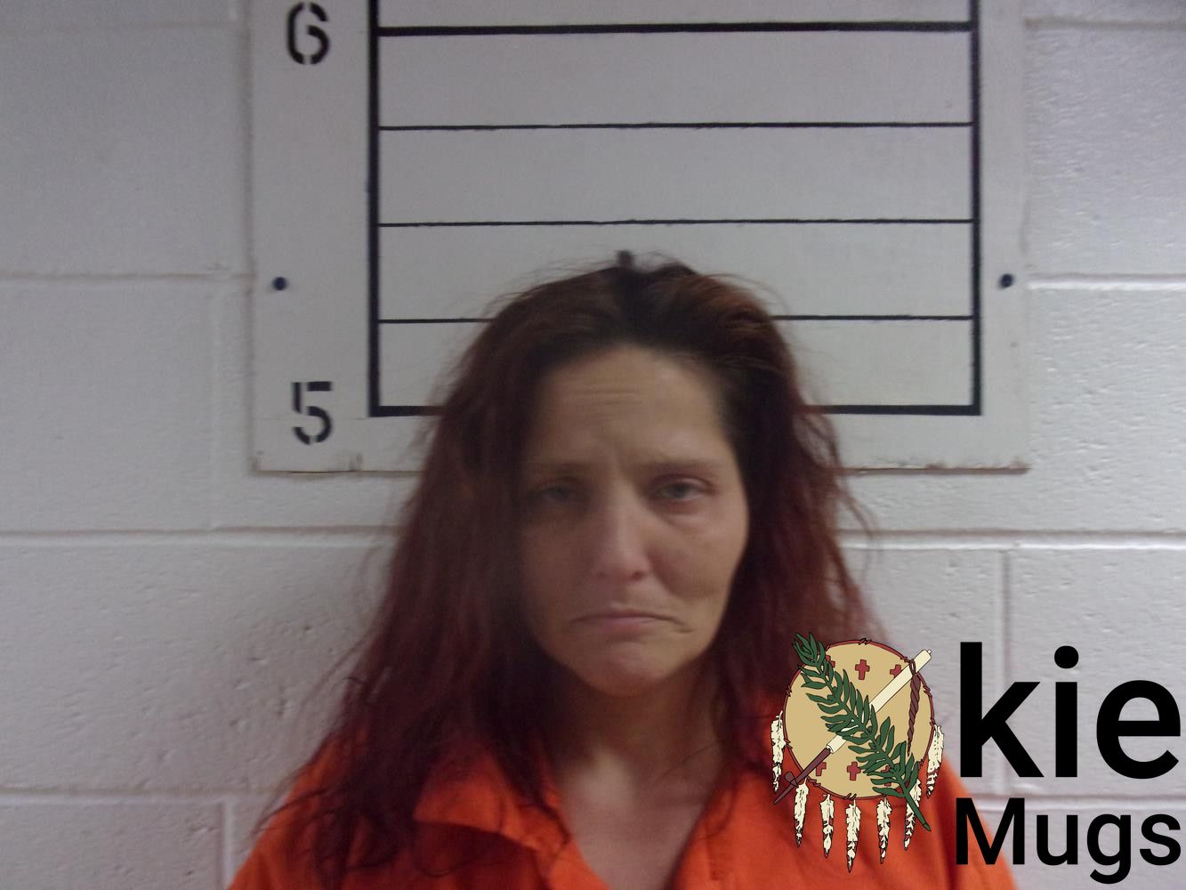 Booking photo of BRANDIE (CREEK) HOGAN