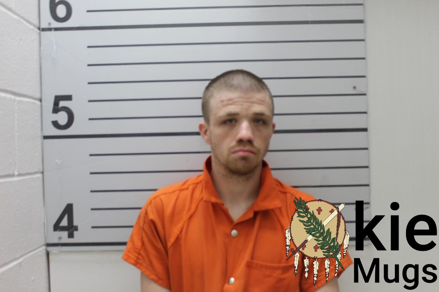 Booking photo of BRANDON LEE ROSS