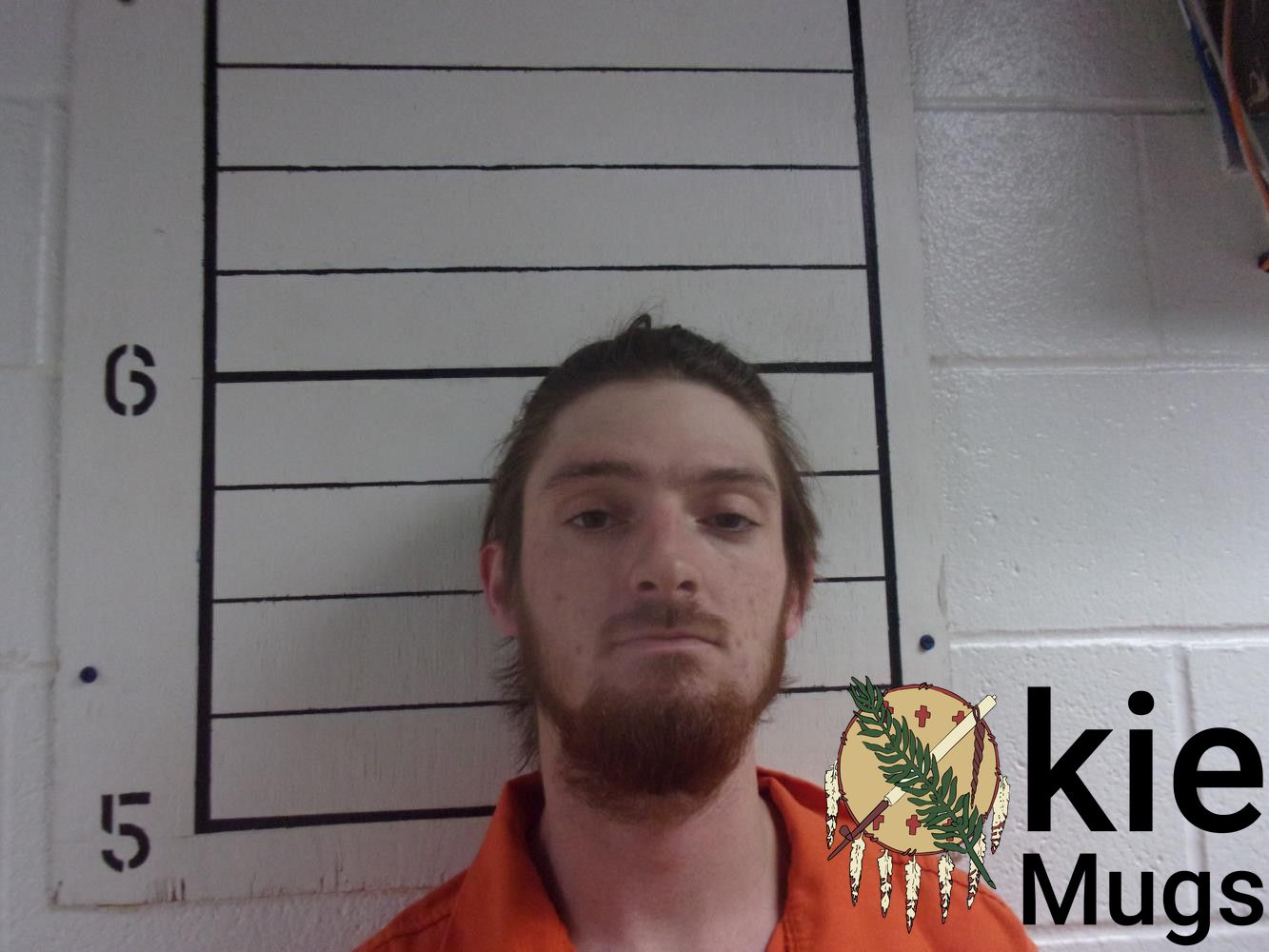 Booking photo of BRANDON WHITMAN