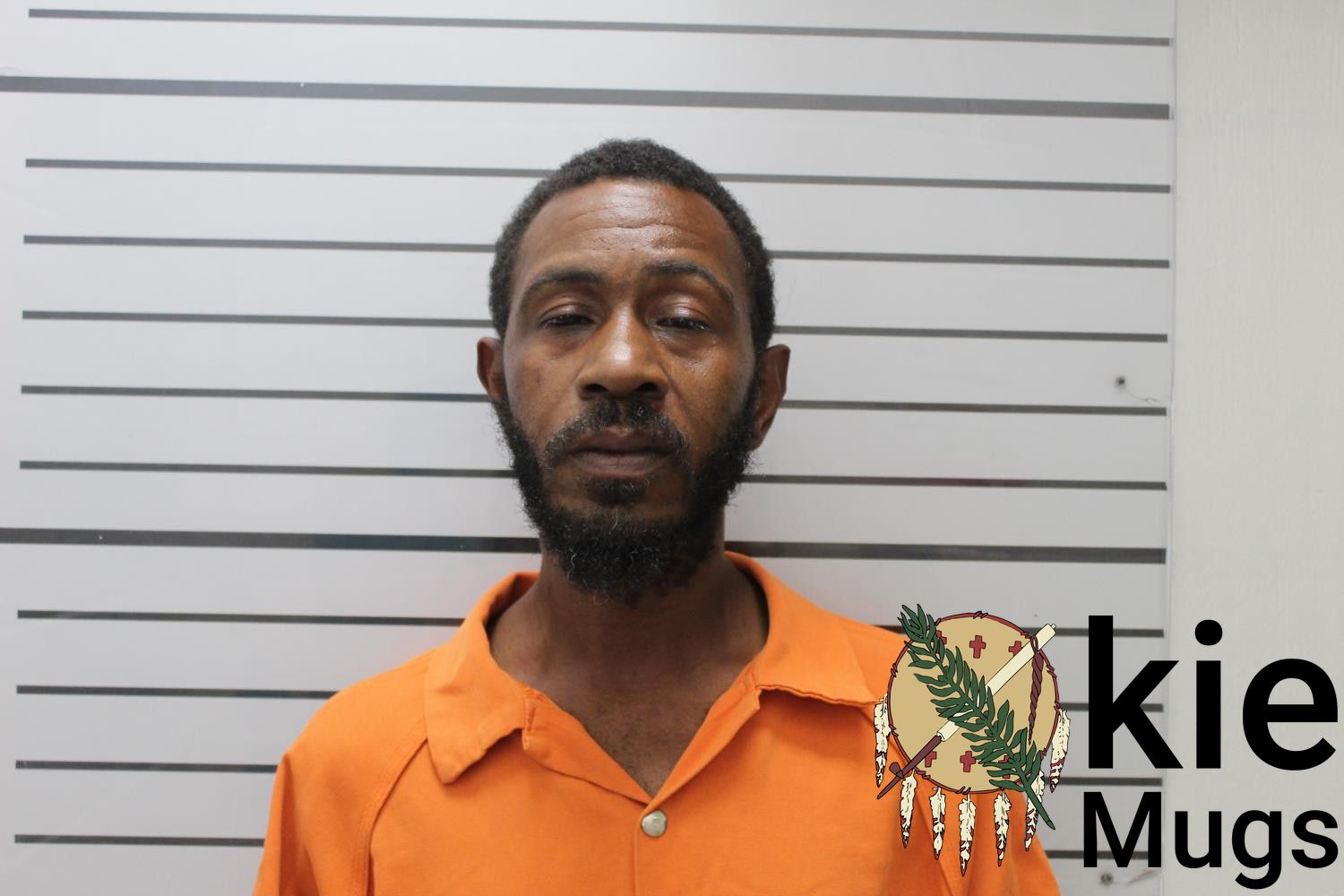 Booking photo of BRANDY DEMONDA SIMPSON