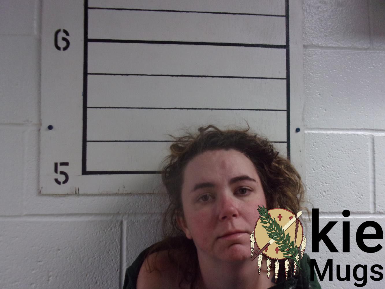 Booking photo of BRANDY LEIGH CROWNOVER