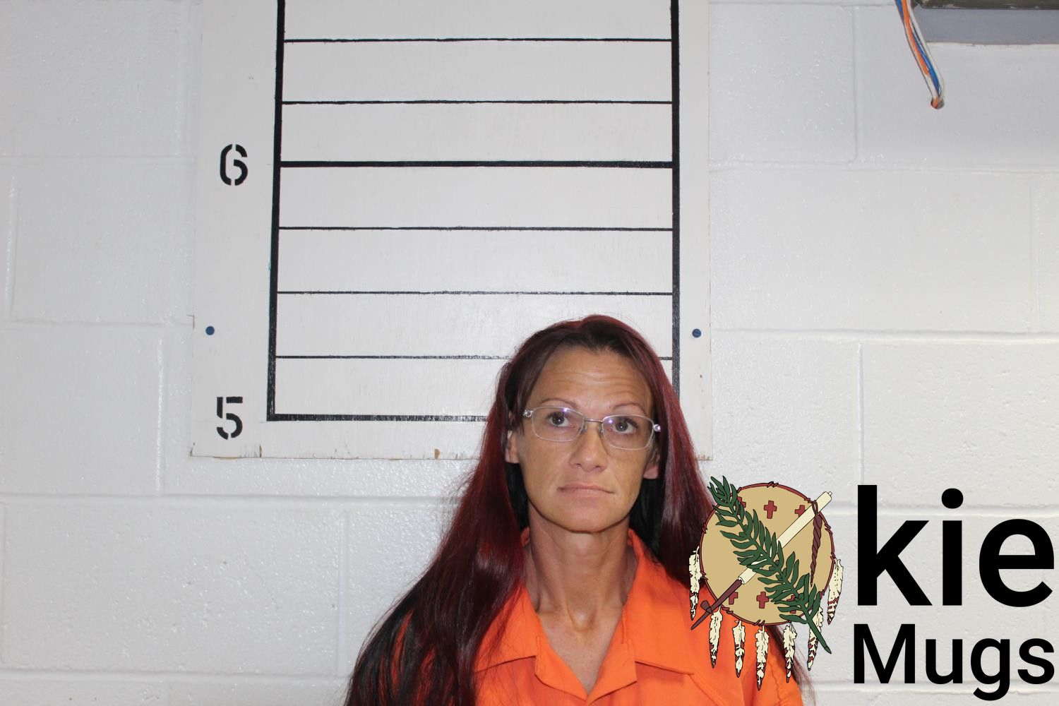 Booking photo of BRANDY MICHELLE EVERETT