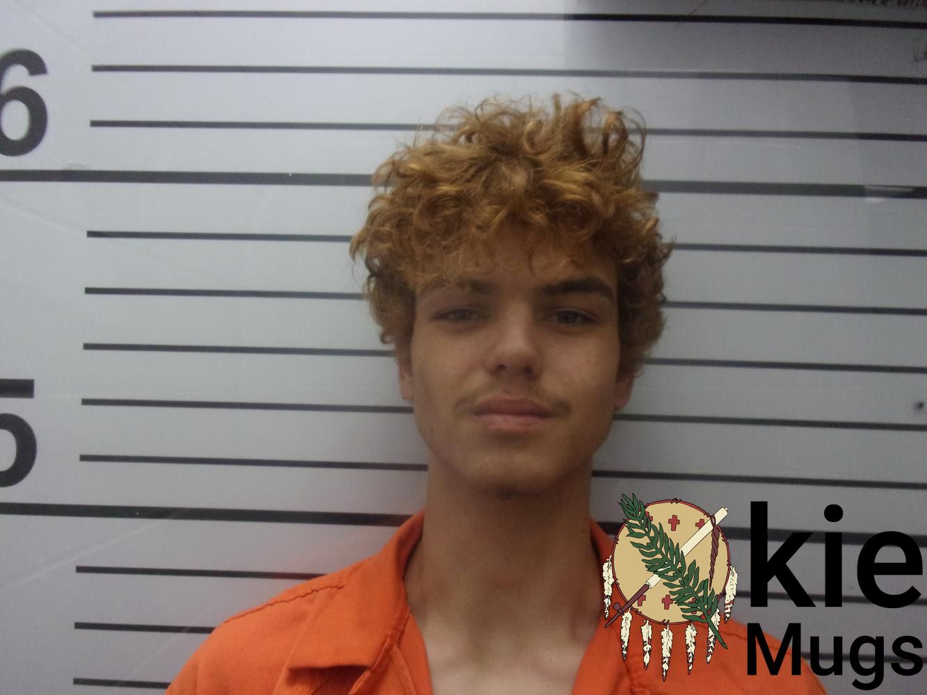 Booking photo of BRAYDEN ROBERT SCOTT WEBB