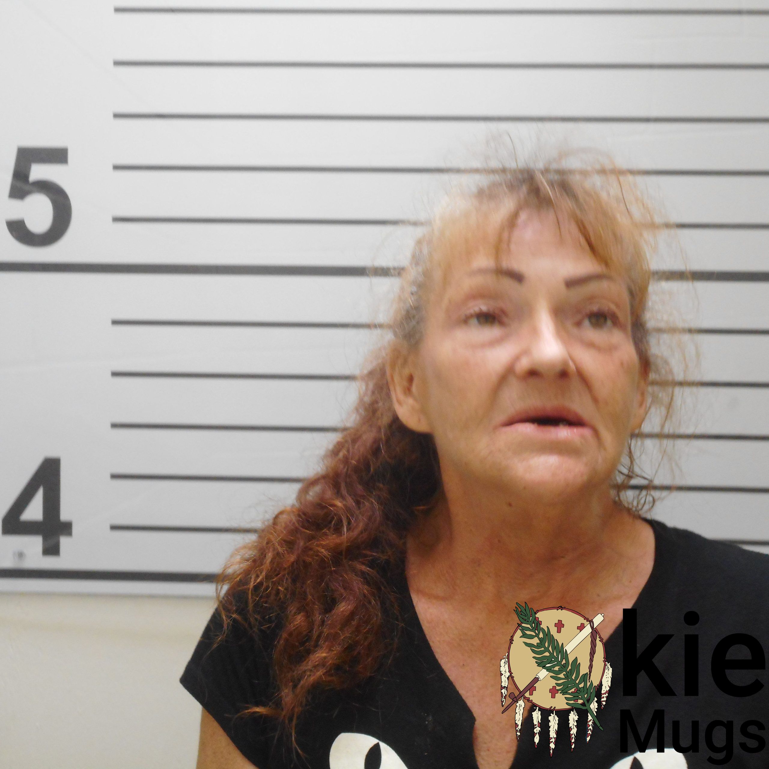 Booking photo of BRENDA JEAN CRESS