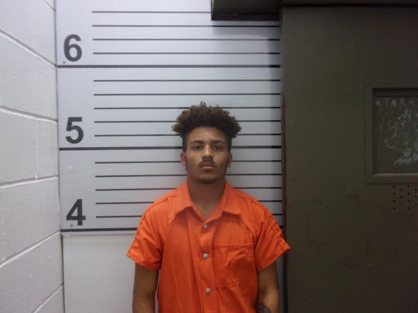 Booking photo of BRENDEN TYLER WILSON