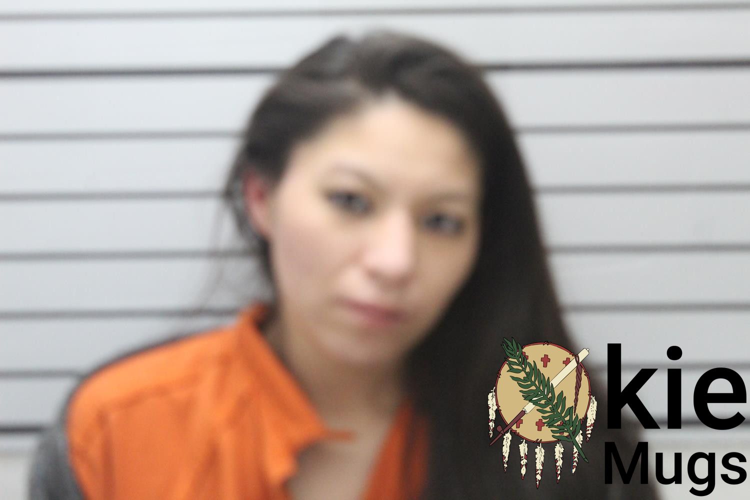 Booking photo of BRENNA MERKV (CREEK) TECUMSEH