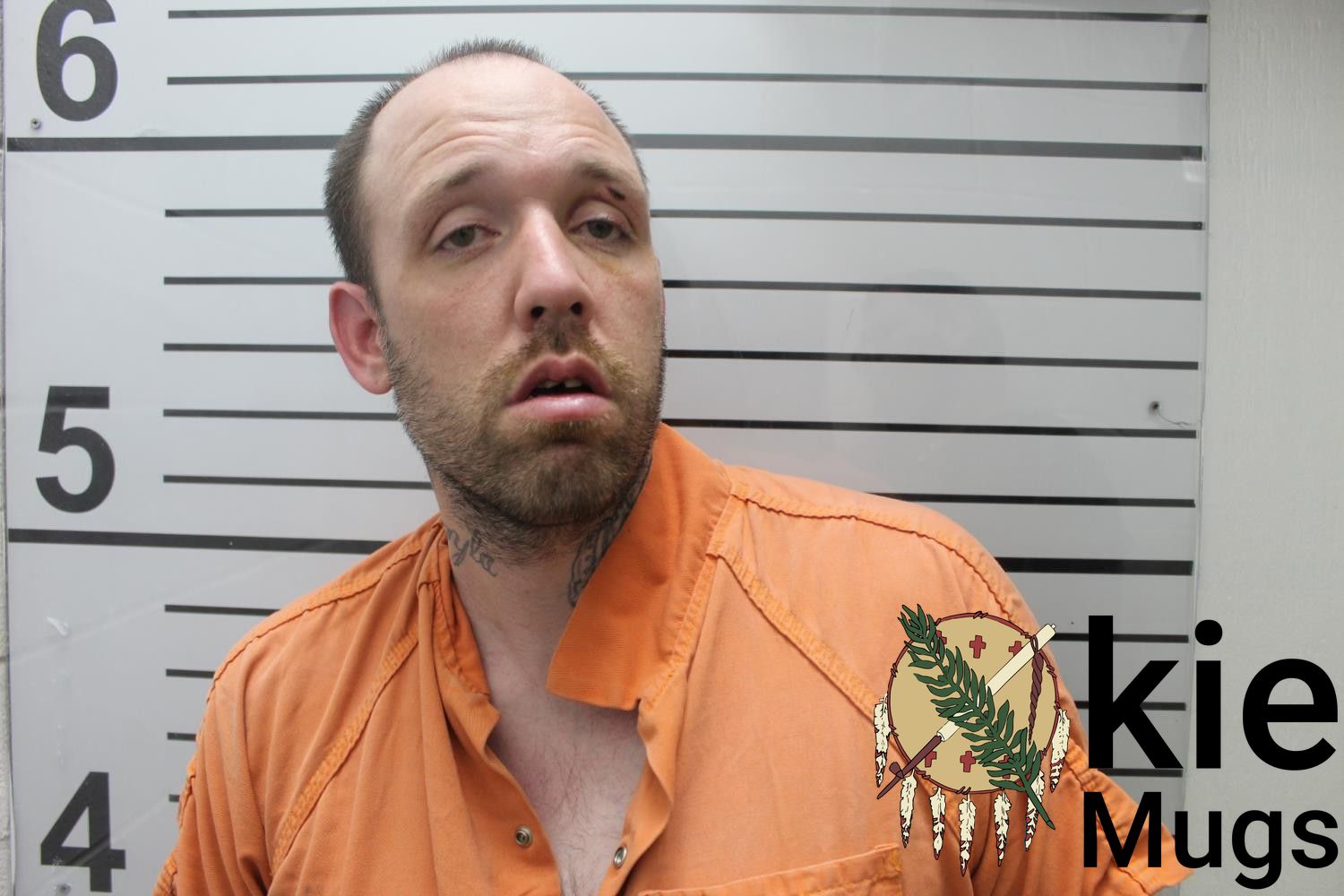 Booking photo of BRENT WESLEY (CREEK) WILLIAMS