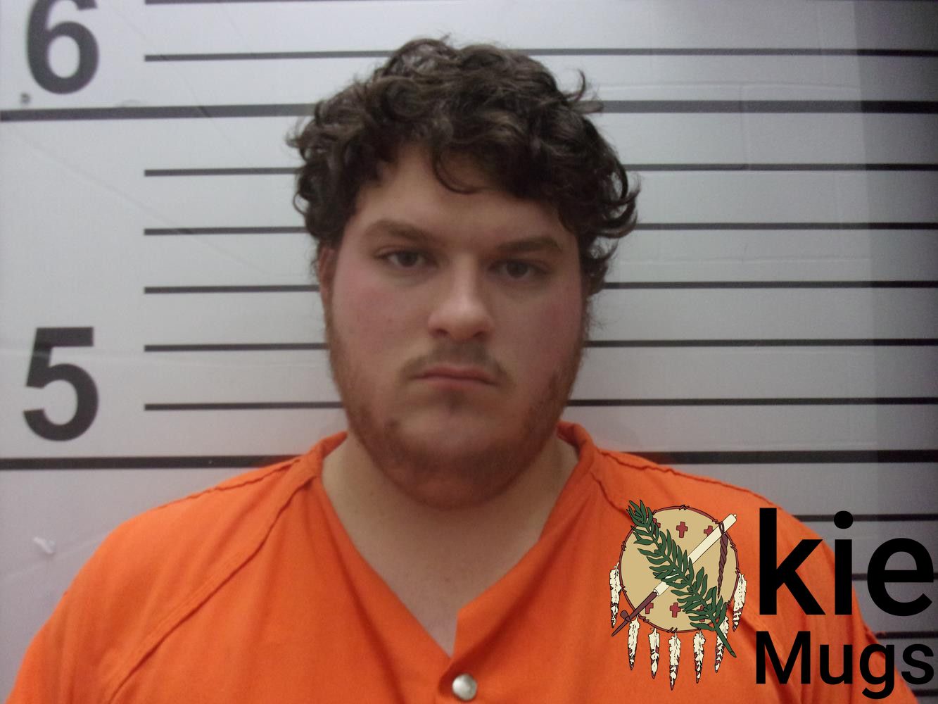 Booking photo of BRETT NICHOLAS ELLIS