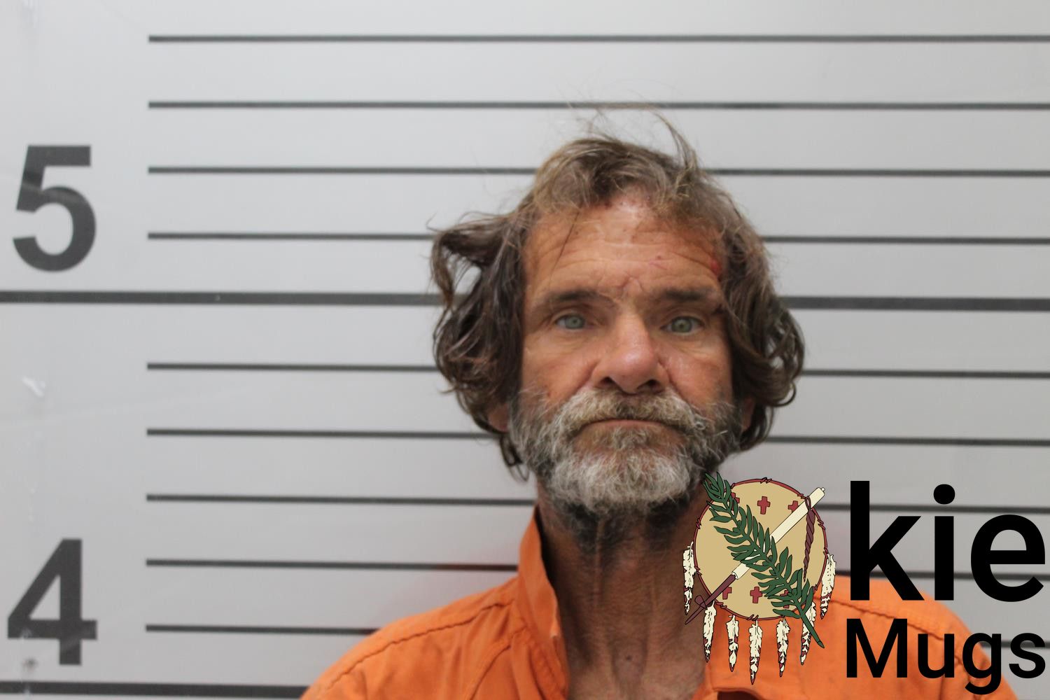Booking photo of BRIAN JAMES EMMONS