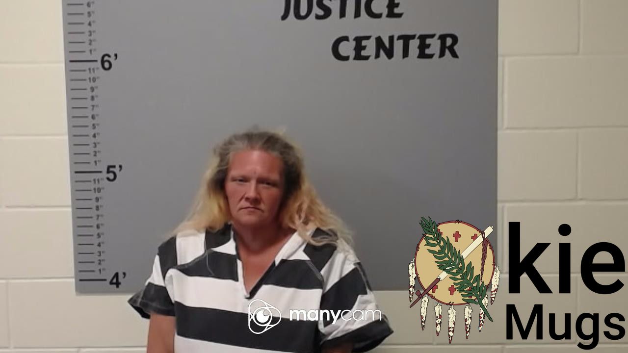 Booking photo of BRIDGETT DEEAN DOWNUM