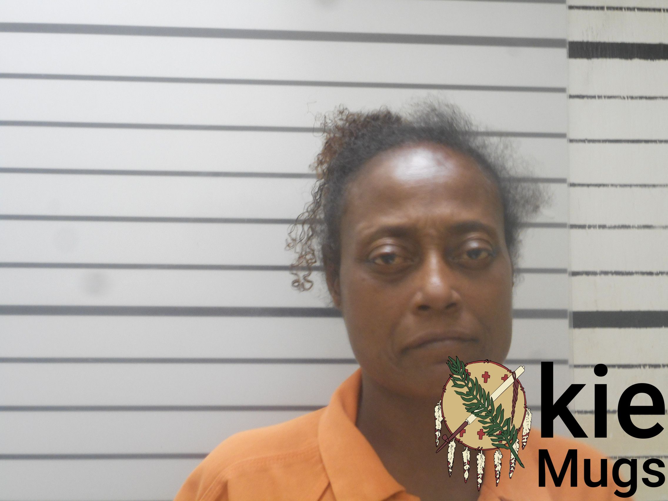 Booking photo of BRIDGETT SHAREECE WILLIAMS