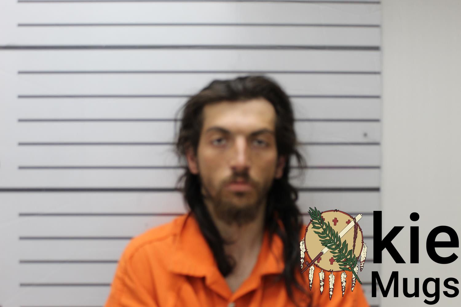 Booking photo of BRINSON DALE NOLEN