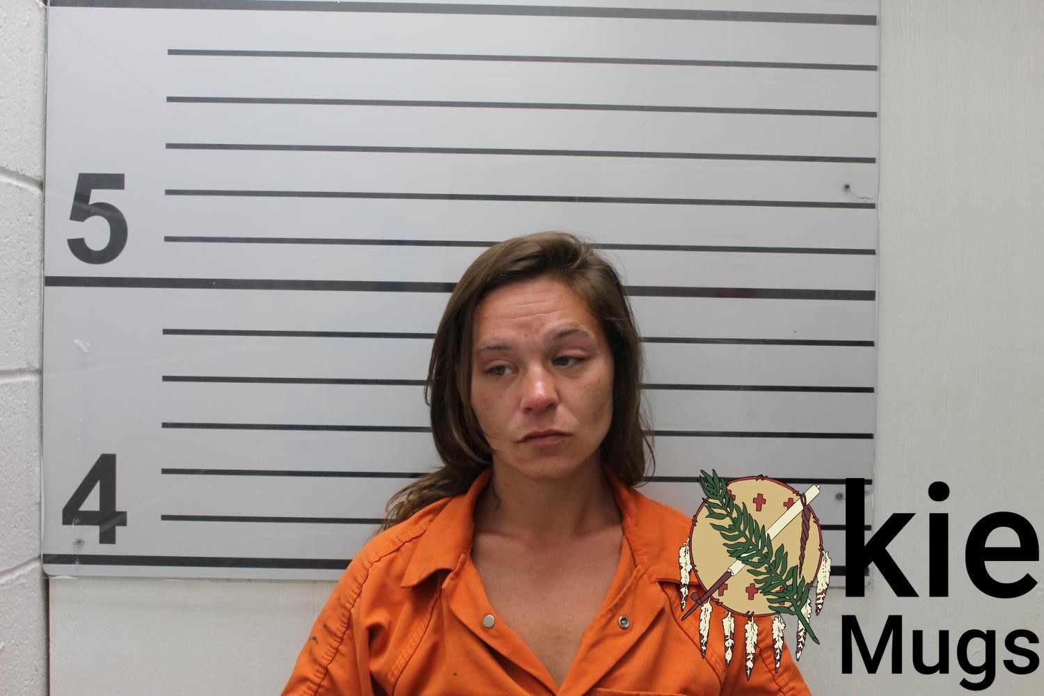 Booking photo of BRITANY NICOLE EDWARDSON