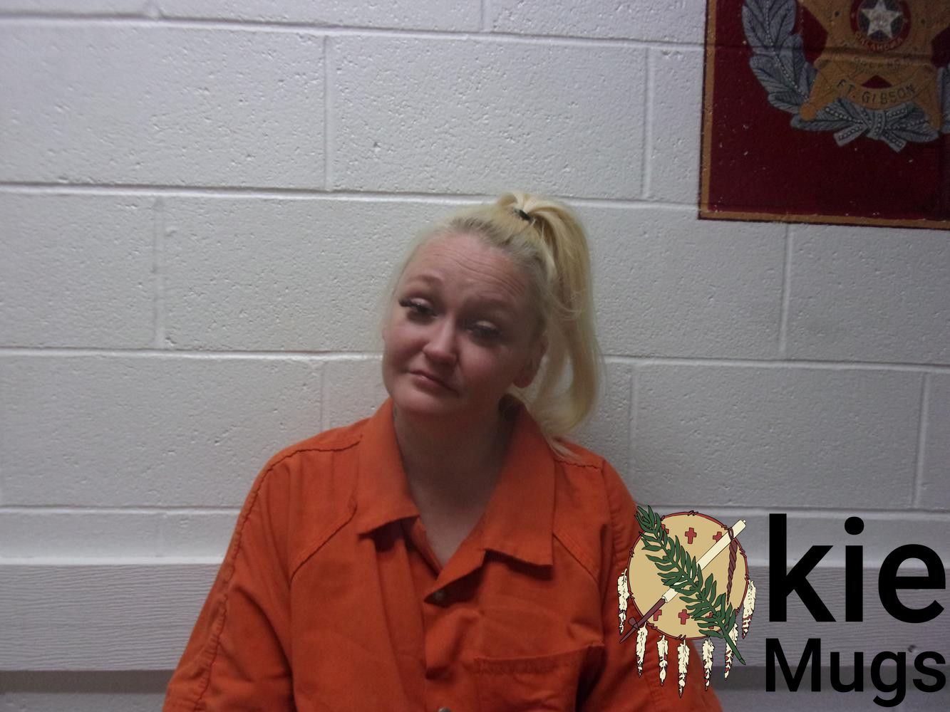 Booking photo of BRITNI FAY HEAVENER