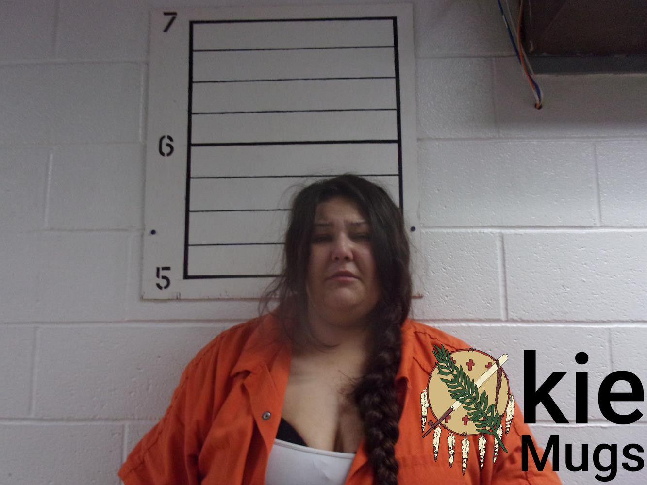 Booking photo of BRITTANY JOHNSON