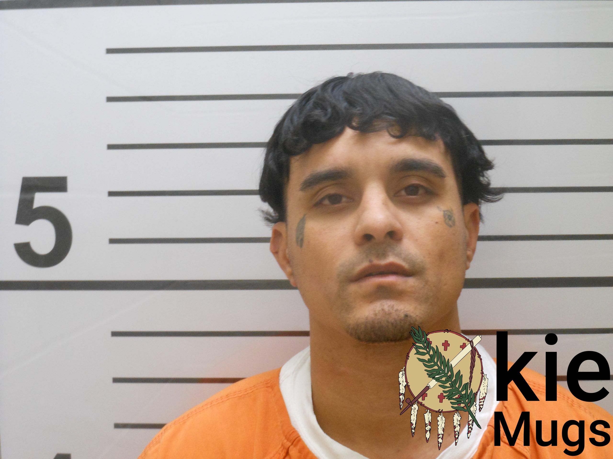 Booking photo of BRONSON WILLIAM (DOC) BUTCHER