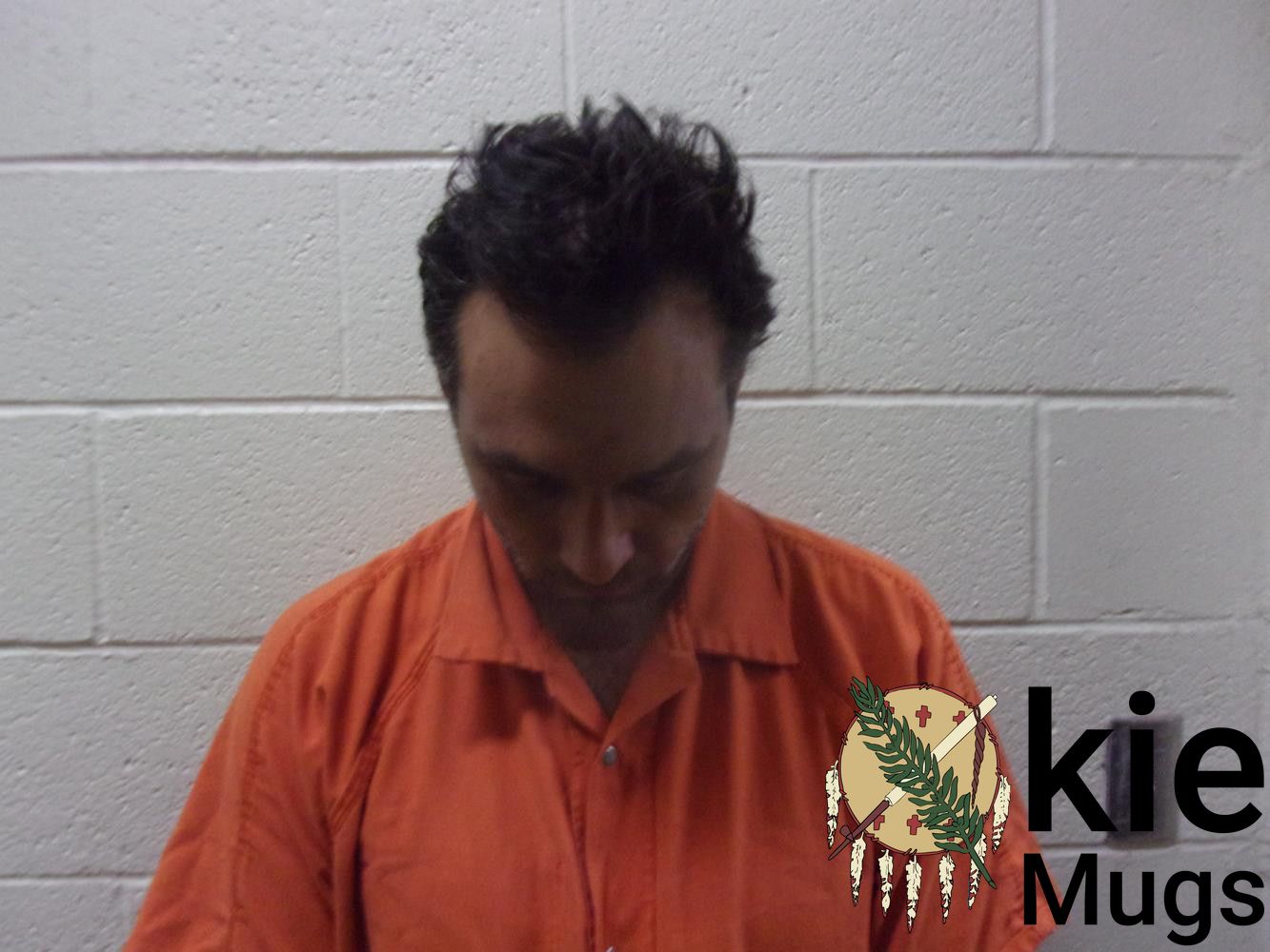 Booking photo of BRUCE A PULVER