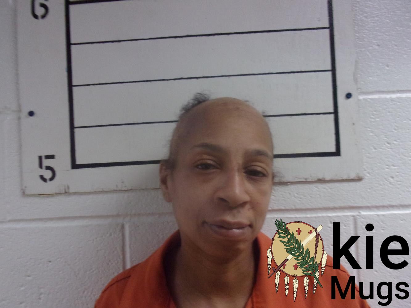 Booking photo of CAMILLE ANTONETT DRYWATER-LOPEZ
