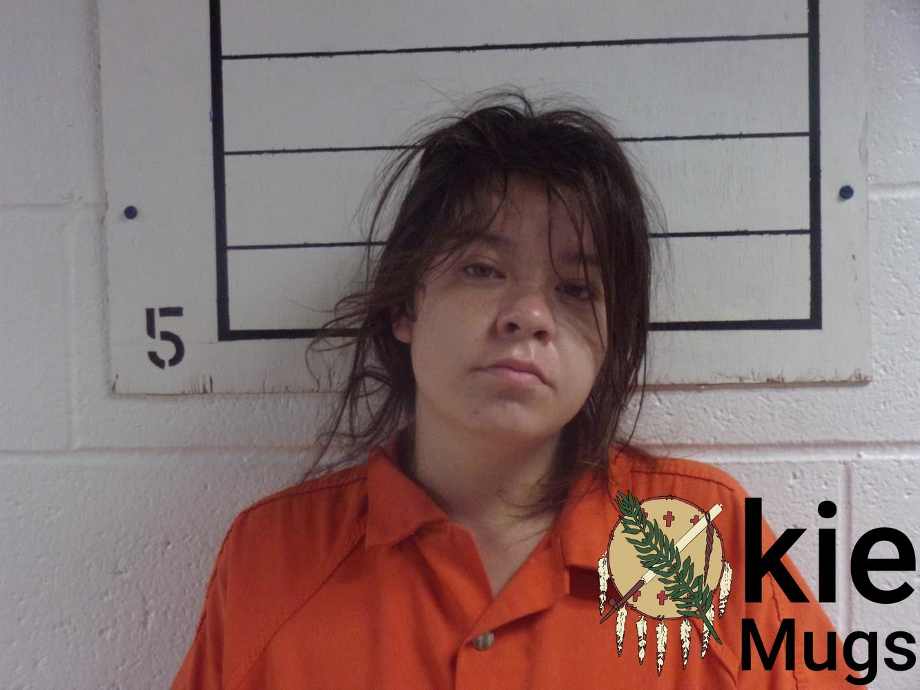 Booking photo of CARI ELIZABETH PIERSKALLA