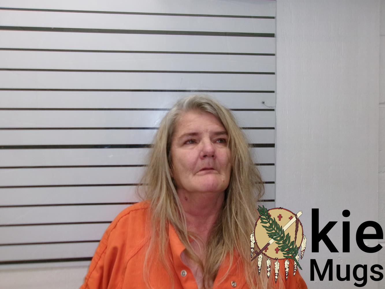Booking photo of CAROL ANN LUTZ