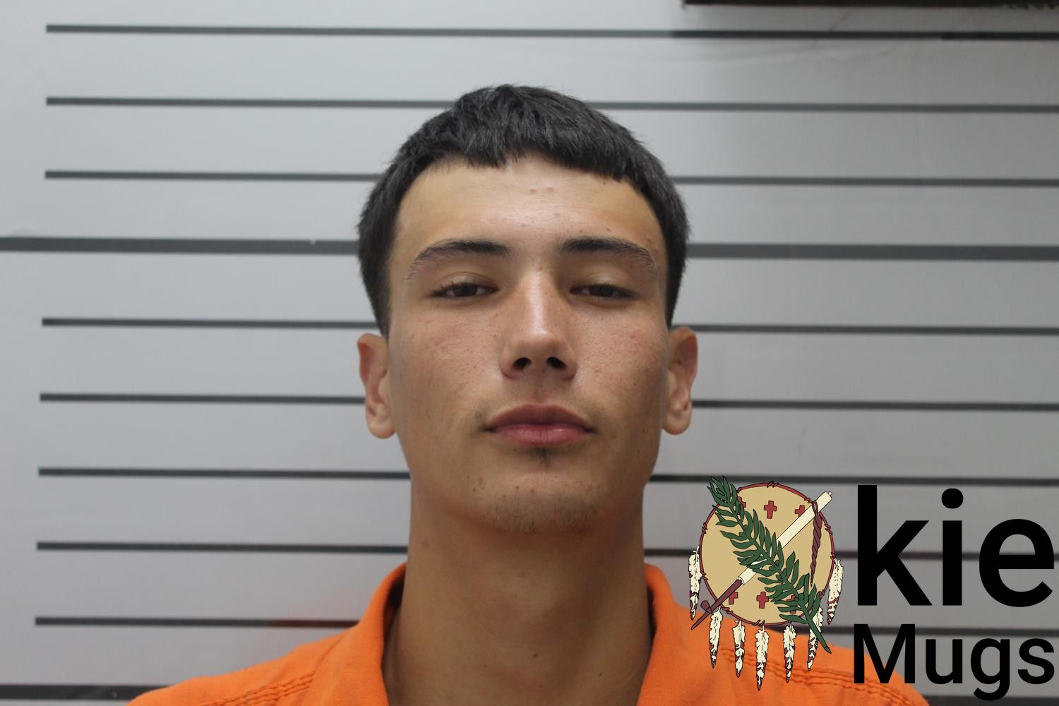 Booking photo of CHARLES (CREEK) HOBBS