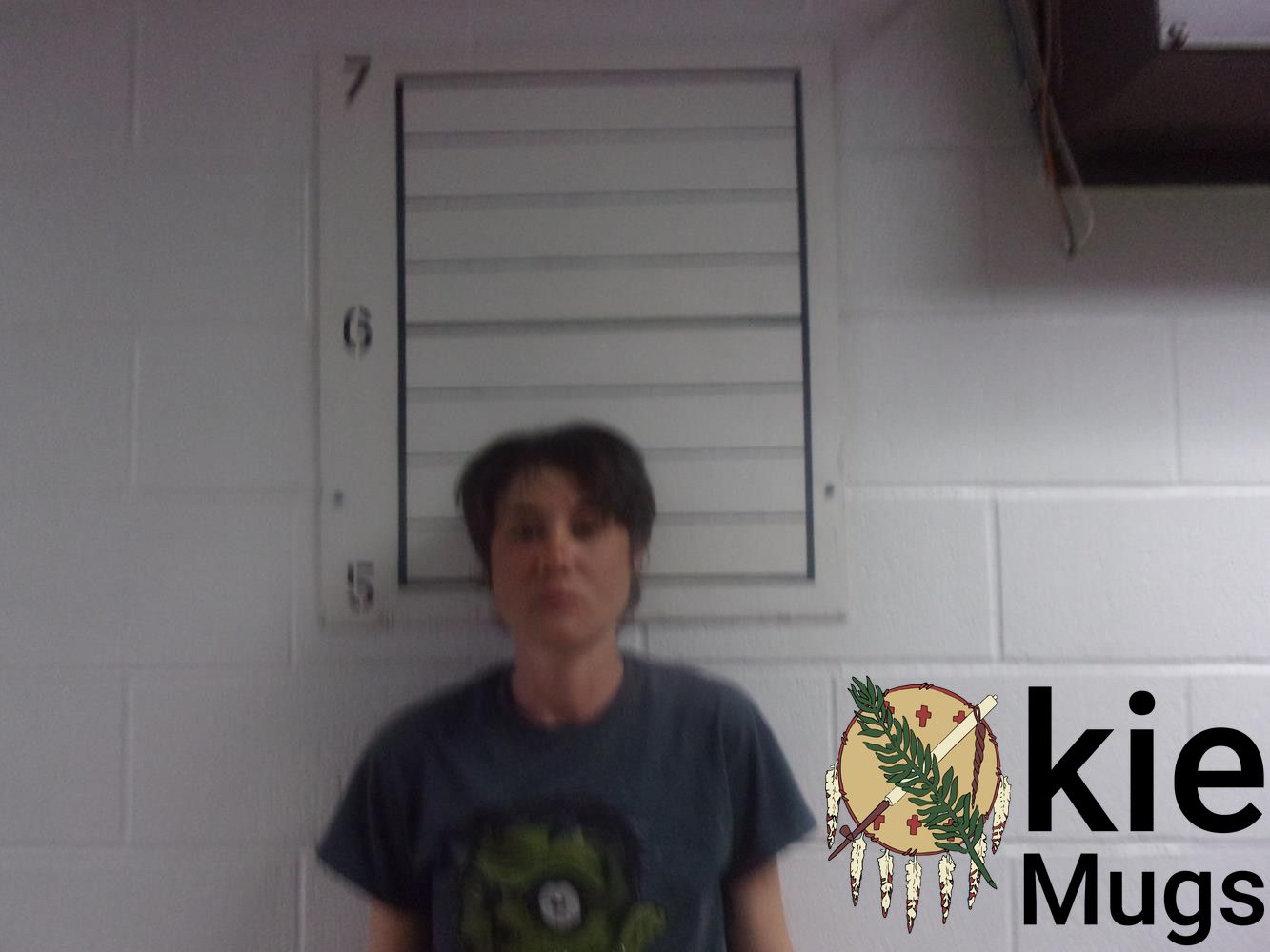 Booking photo of CHELSEA E KELLOGG
