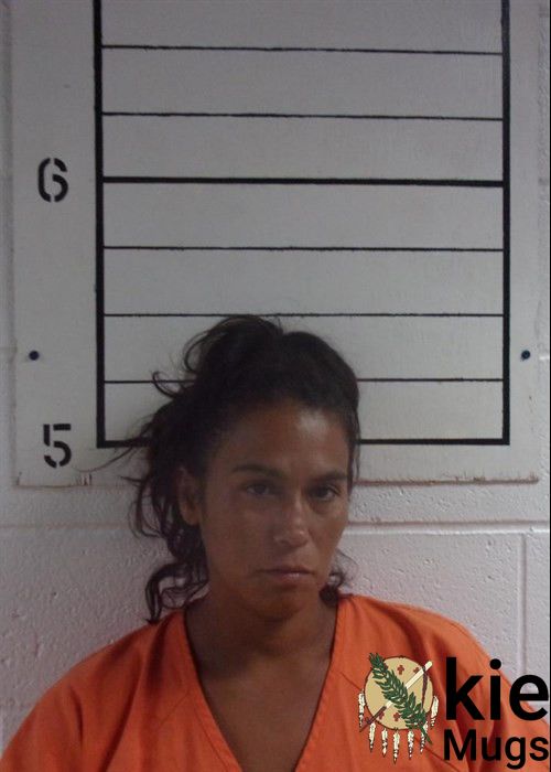 Booking photo of CHELSEA LEE FULLER
