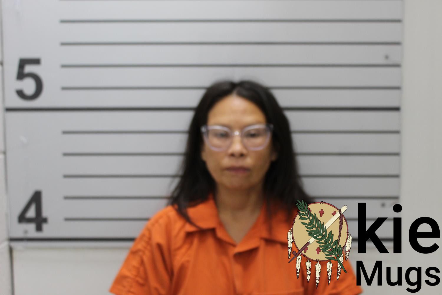 Booking photo of CHERYL (CHEROKEE) AKINS