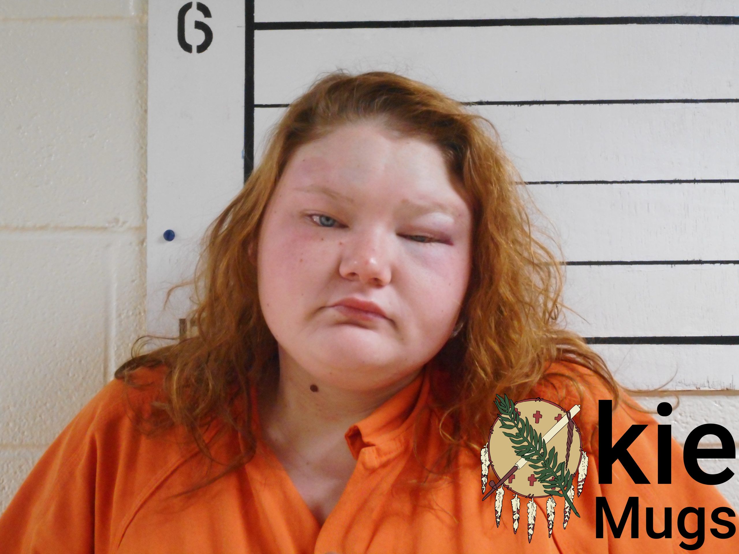 Booking photo of CHEYENNE AUTUMN ROBINETT