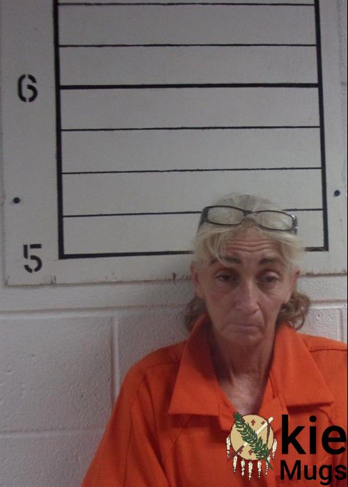 Booking photo of CHRISTINA M HUNTER