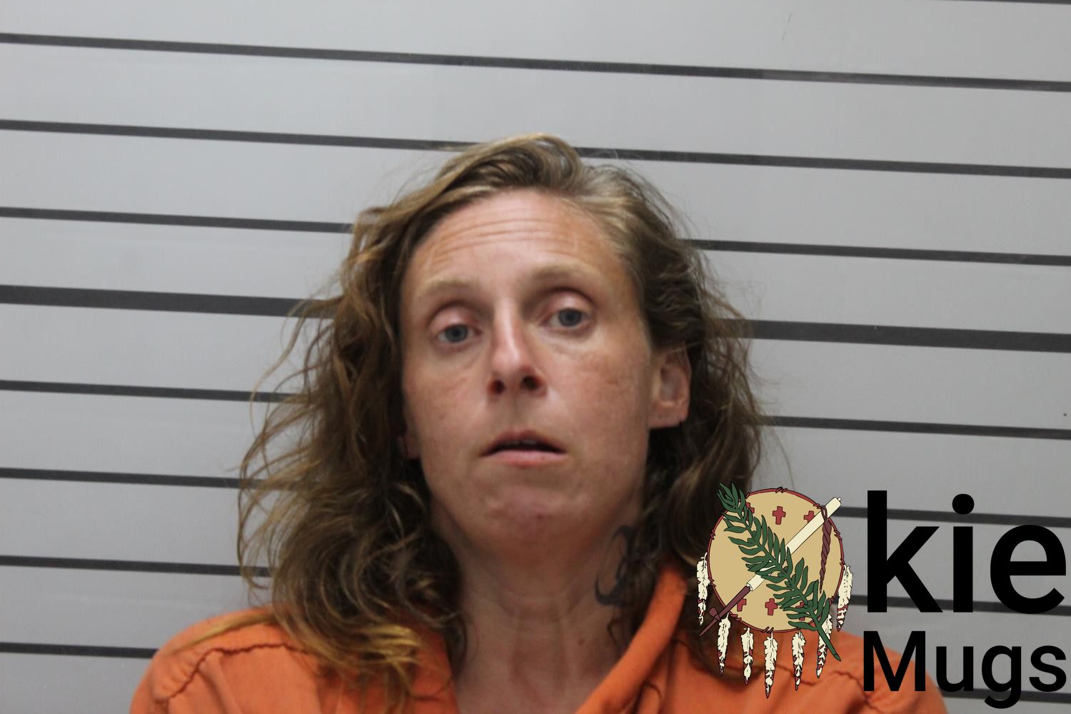 Booking photo of CHRISTINE LEE (DOC) HALL