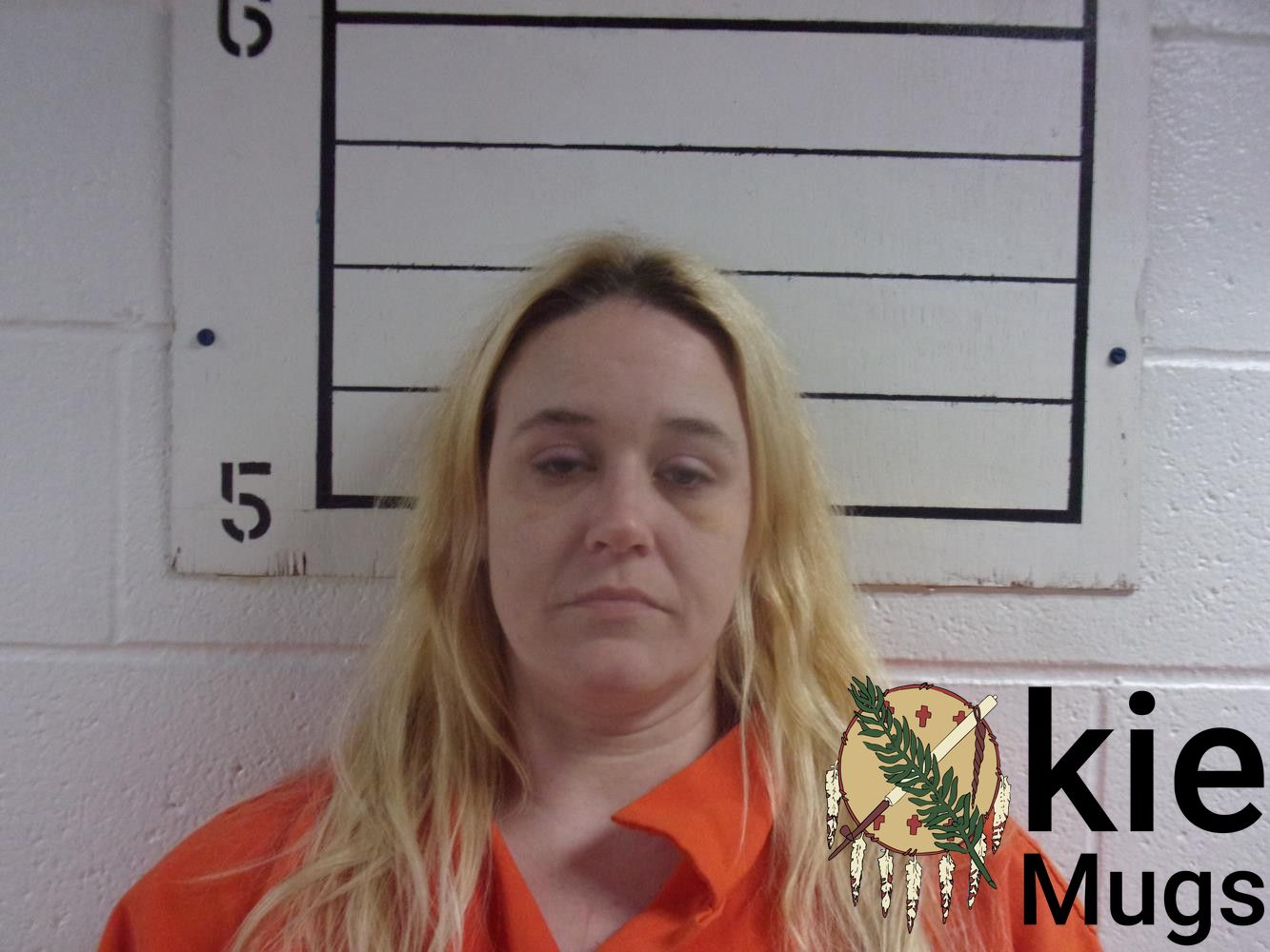 Booking photo of CHYNETHA DONNEA (CREEK) NABORS