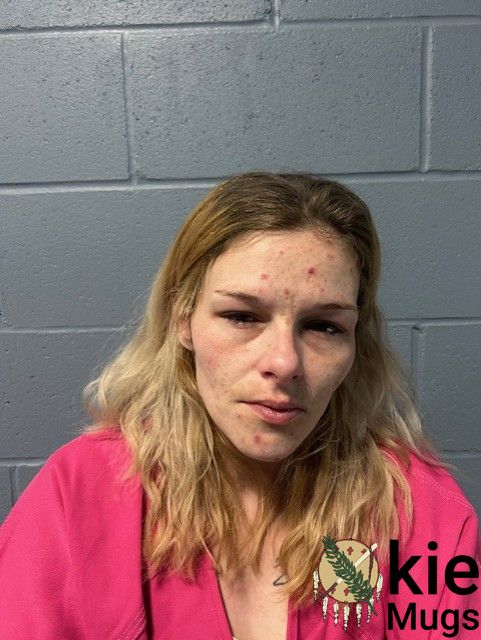 Booking photo of AMY COLE