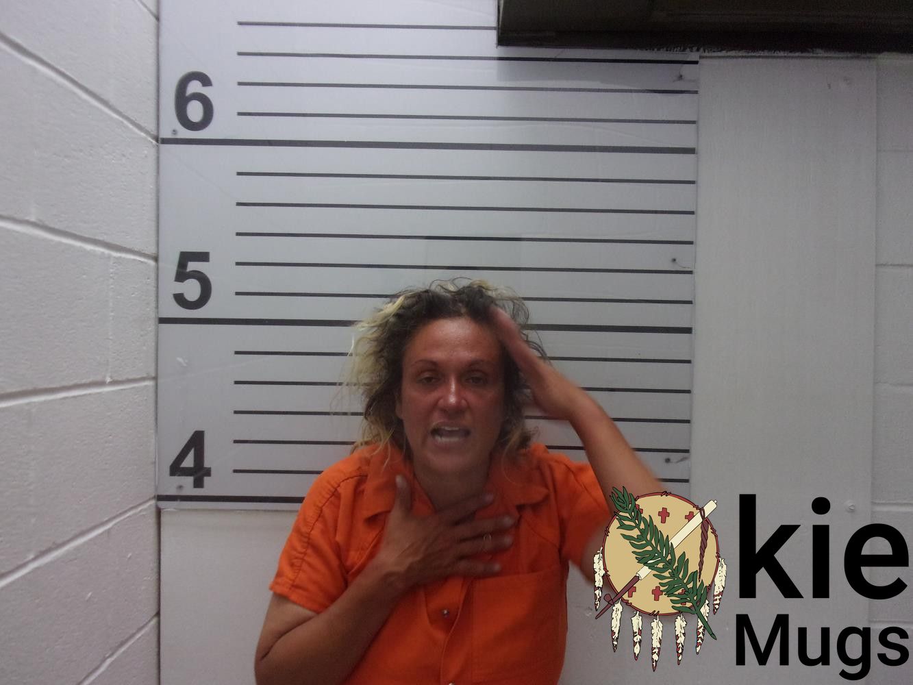 Booking photo of CRYSTAL ANN BROWN