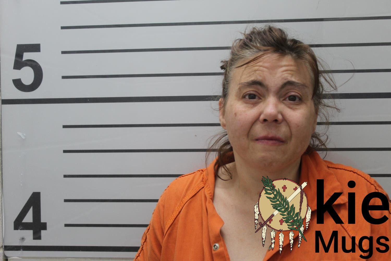Booking photo of CRYSTAL LYNN WEBSTER