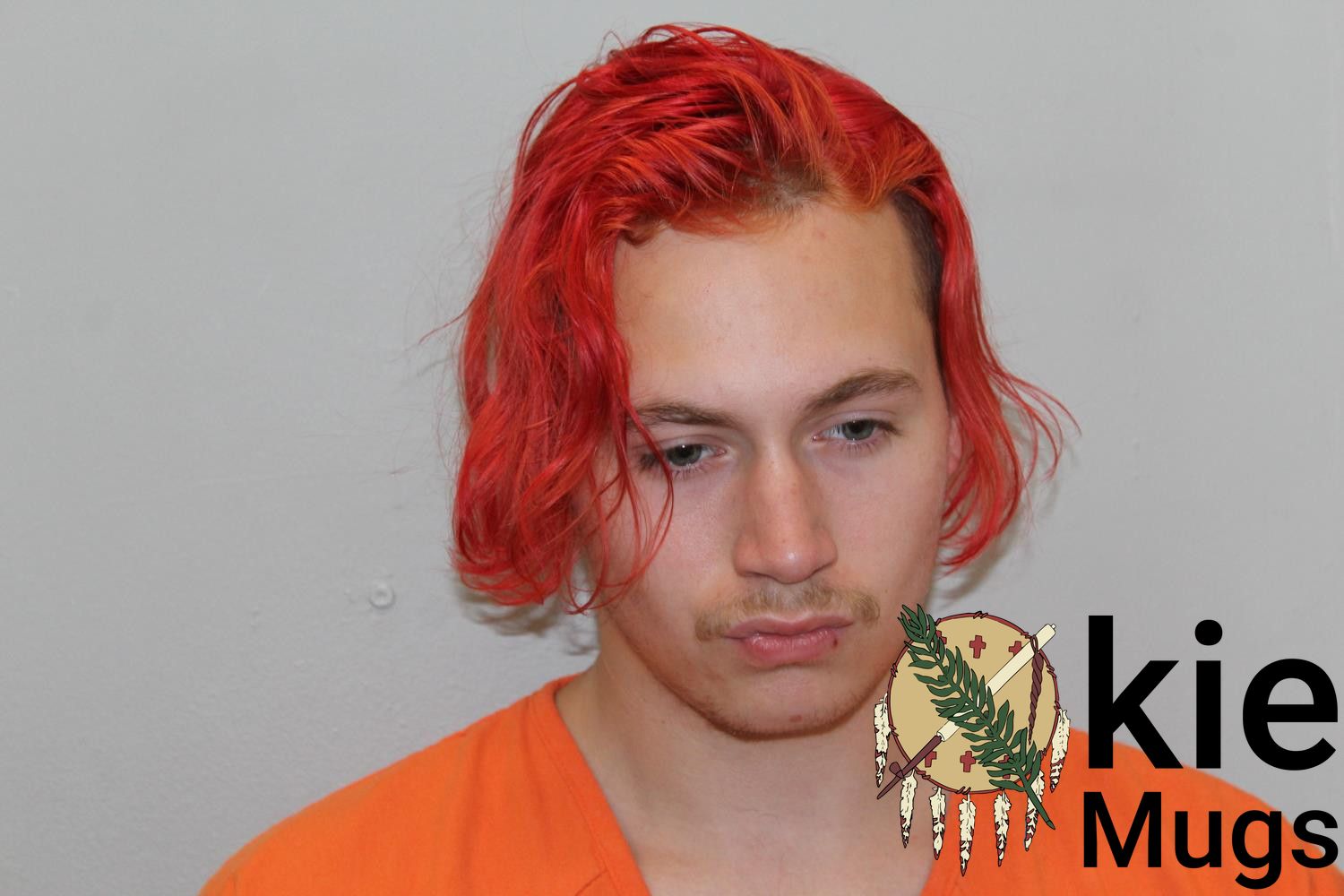 Booking photo of CYRUS HANKS