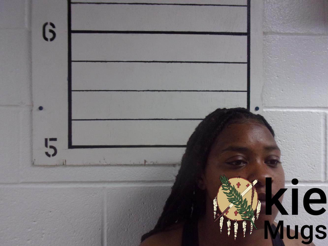 Booking photo of DAHNAE BOISSEAU