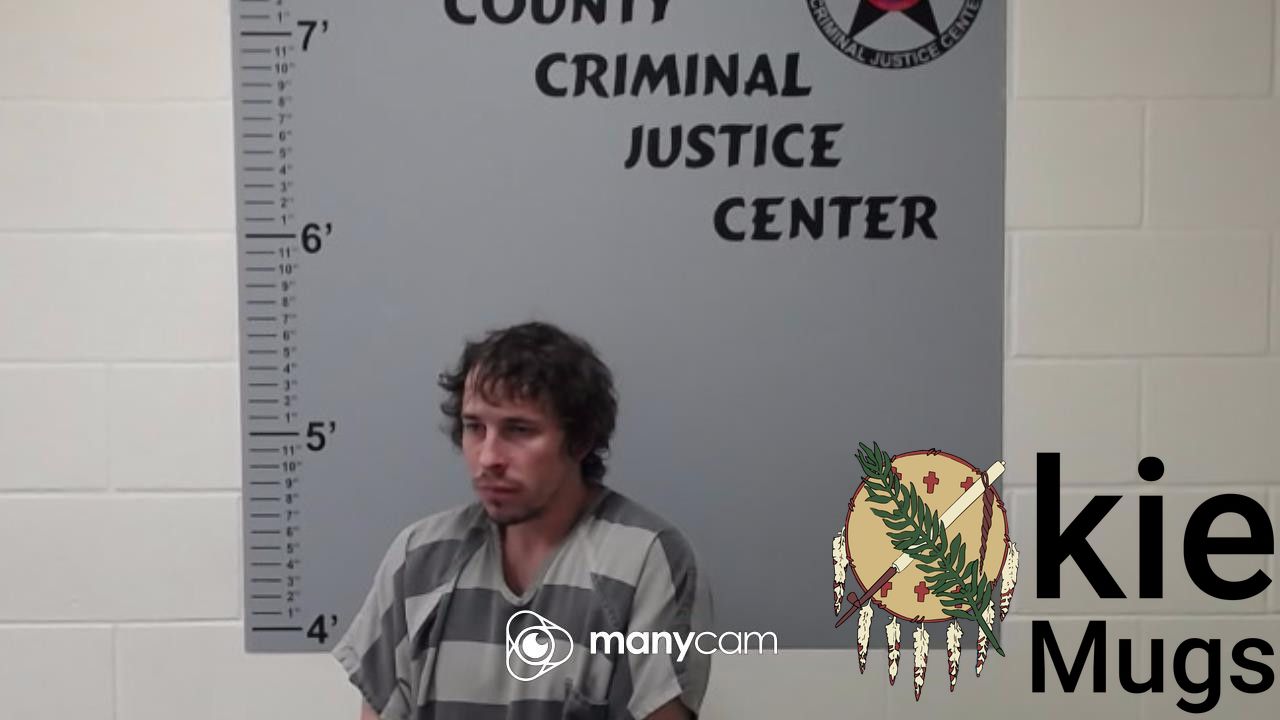 Booking photo of DAKOTA DAVE ALLISON