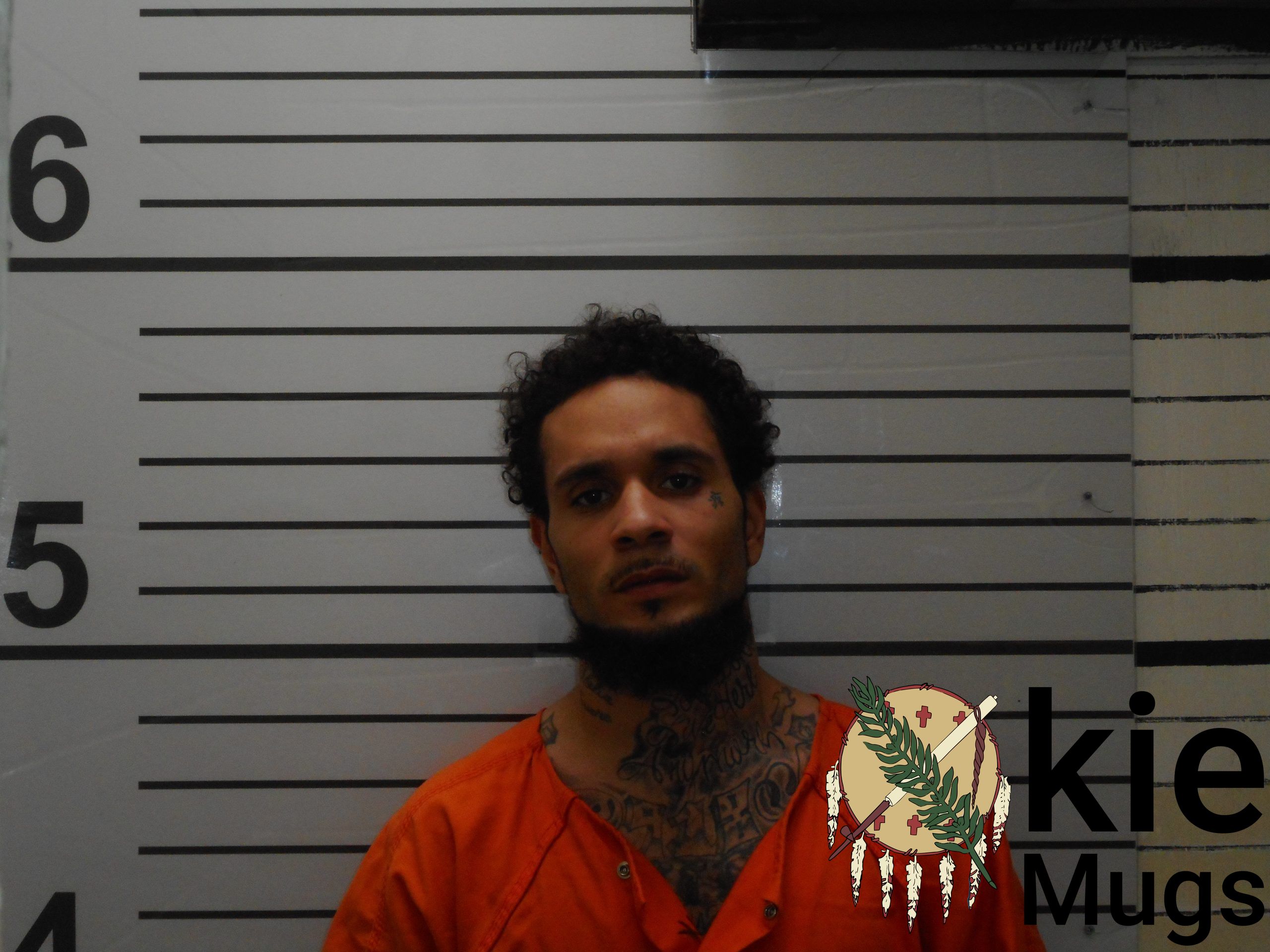 Booking photo of DAKOTA ELINZONDO STARK