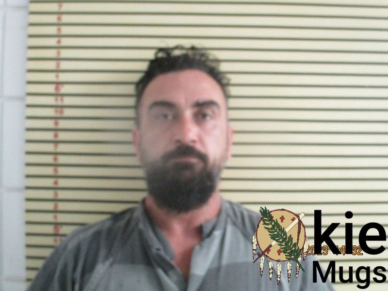 Booking photo of DALIBOR BRKIC