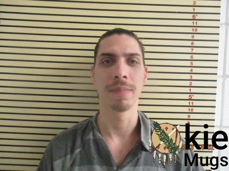 Booking photo of DANA DENT