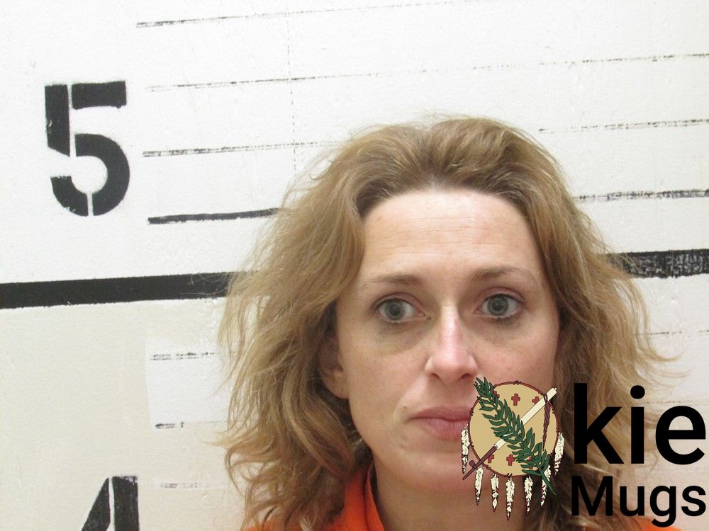 Booking photo of DANA MARIE STONEBURNER