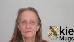 Booking photo of DANA SUE BASSETT