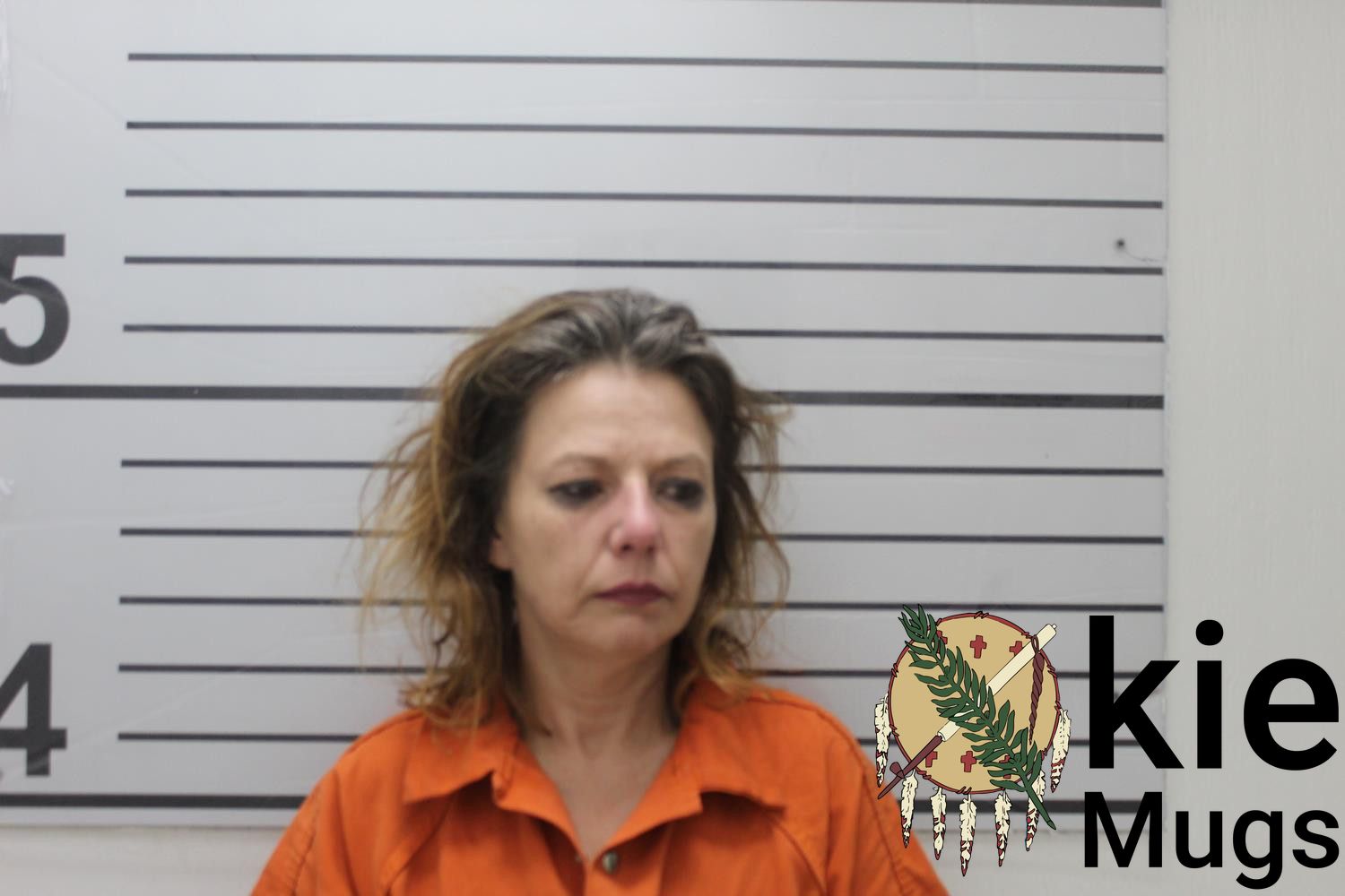 Booking photo of DANA (CHEROKEE) MICKELSON