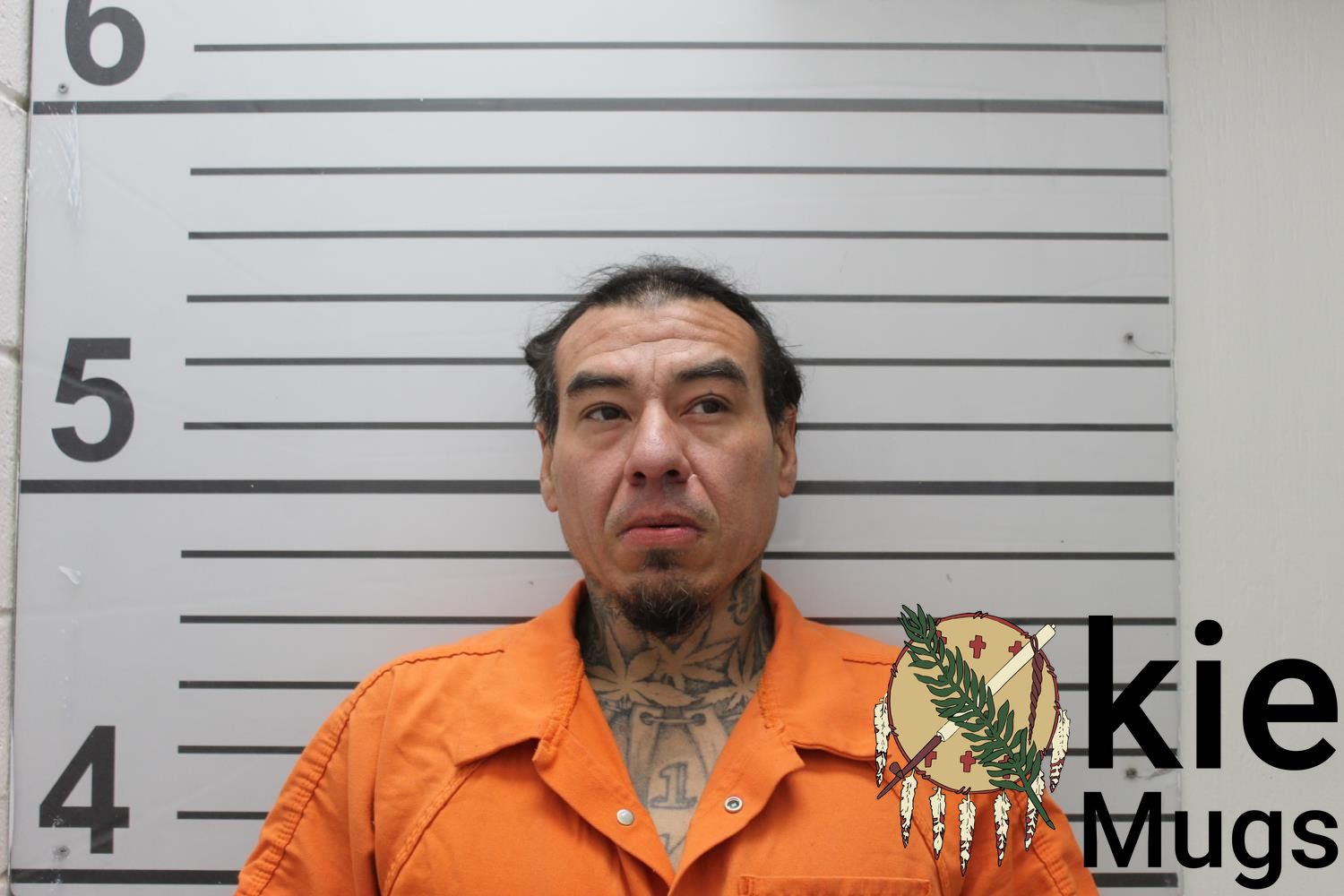 Booking photo of DANIEL RAY (CREEK) HAWKINS JR
